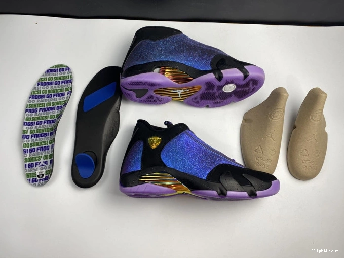 RETRO JORDAN 14 CV2469-001 DOERNBECHER '' AIR 0724